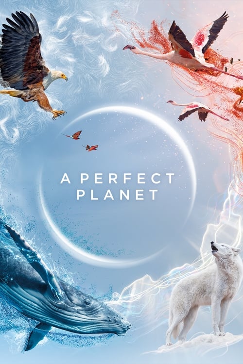 A Perfect Planet : 1.Sezon 4.Bölüm