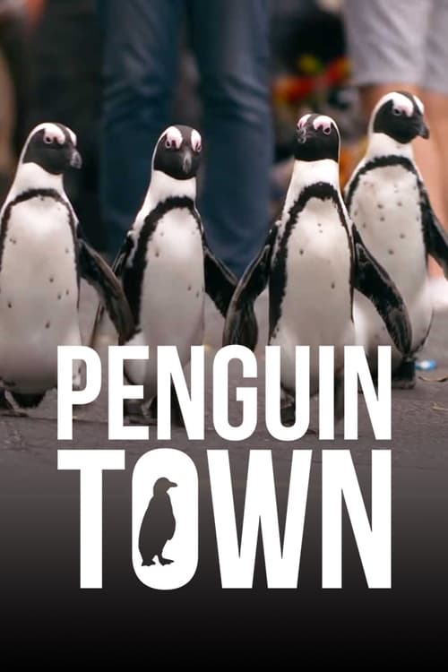 Penguin Town : 1.Sezon 2.Bölüm