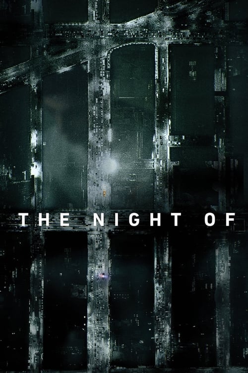 The Night Of : 1.Sezon 6.Bölüm