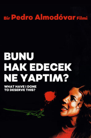 Bunu Hak Edecek Ne Yaptım? (1984)