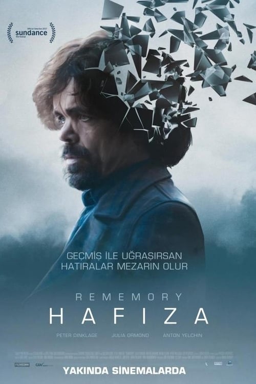 Hafıza (2017)