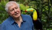 Attenborough’s Life in Colour izle